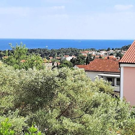 Apartment Miroslav クルク エクステリア 写真